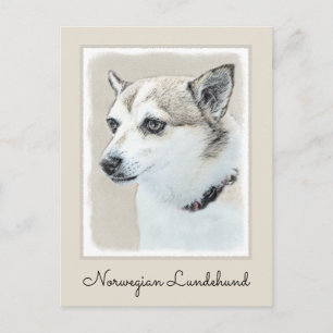 Cartão Postal Pintura Norueguesa De Lundehund - Arte Original De