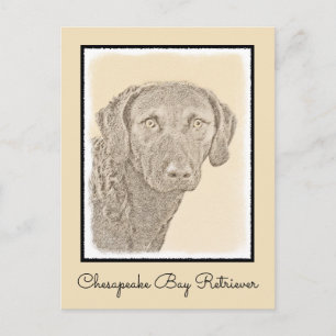Cartão Postal Pintura Original para Cão na Baía de Chesapeake Re