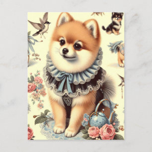 Cartão Postal Pintura Pomeraniana Cuja