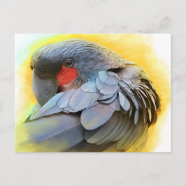 Cartão Postal Pintura realista de Palma Negra