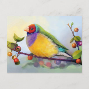 Cartão Postal Pintura realista do Gouldian