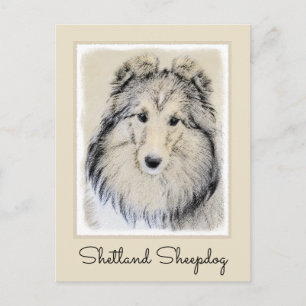 Cartão Postal Pintura Shetland Sheepdog - Arte Cachorreira Origi