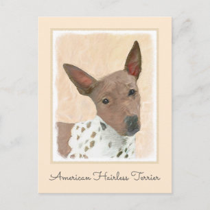 Cartão Postal Pintura Terrier sem cabelos americana - Arte canin