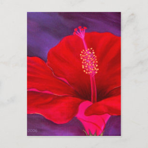 Cartão Postal Pintura Tropical de Flor Red Hibiscus - Multipla