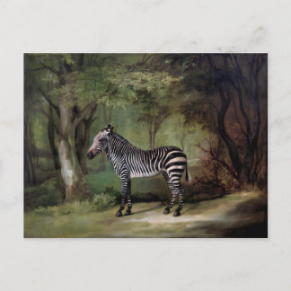 Cartão Postal Pintura Zebra (1763)
