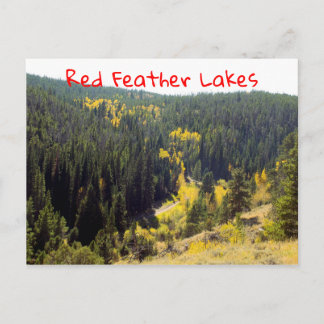 Cartão Postal Pinus Da Floresta Do Colorado Com Aspens De Outono