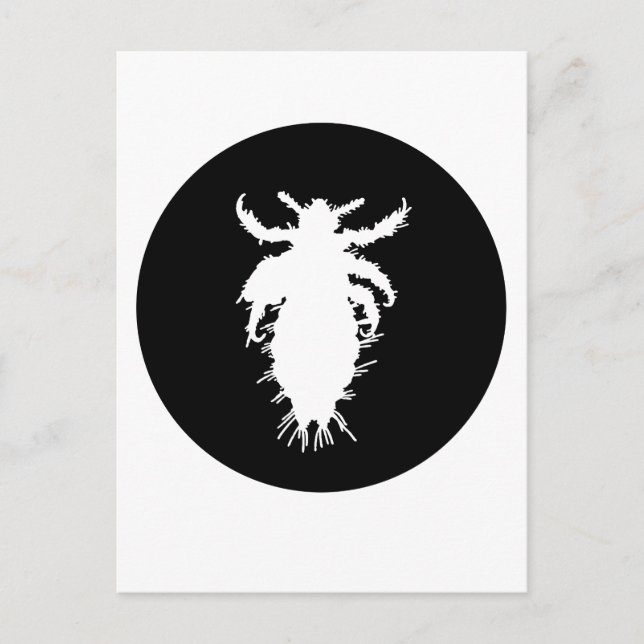 Cartão Postal piolho (Frente)