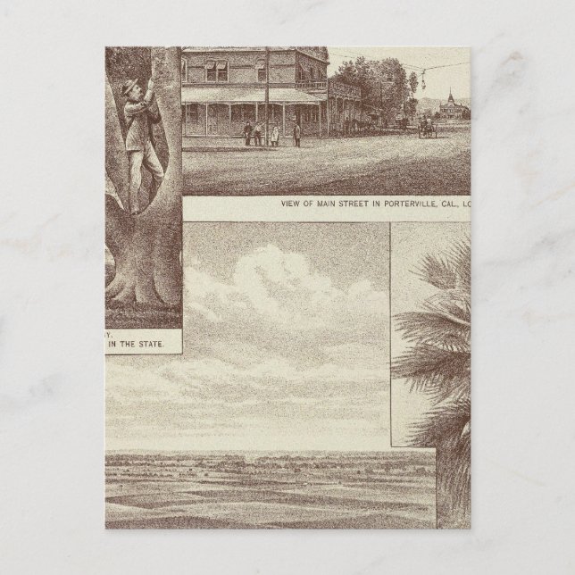 Cartão Postal Pioneer Land Co tract, Porterville (Frente)