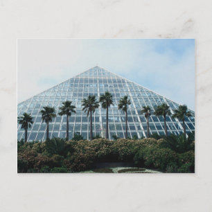 Cartão Postal Pirâmide da floresta tropical, sul do Texas, EUA