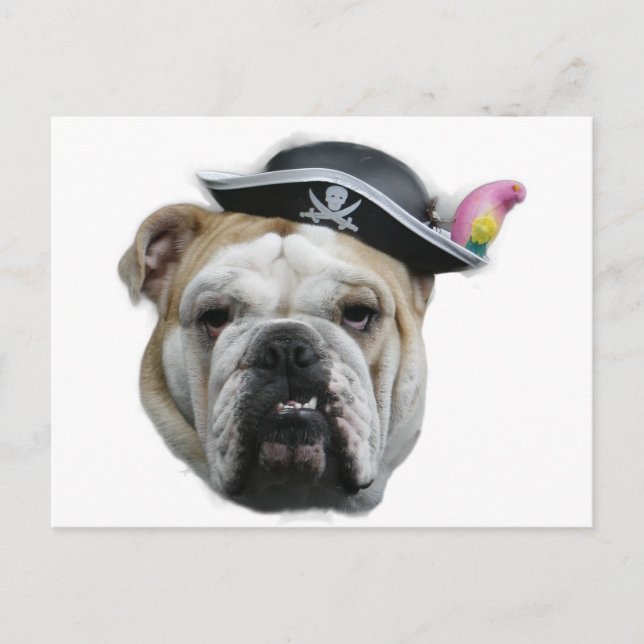 Cartão Postal Pirate Bulldog (Frente)