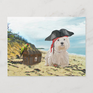 Cartão Postal Pirate Westie