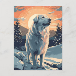 Cartão Postal Pirenéus excelentes na floresta nevada durante o p