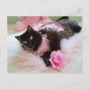 Cartão Postal Piscar os olhos para Cartão-postal rosa