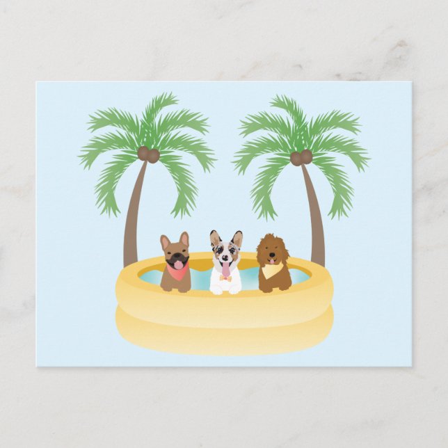 Cartão Postal Piscina de Natação dos Cães de Verão (Frente)
