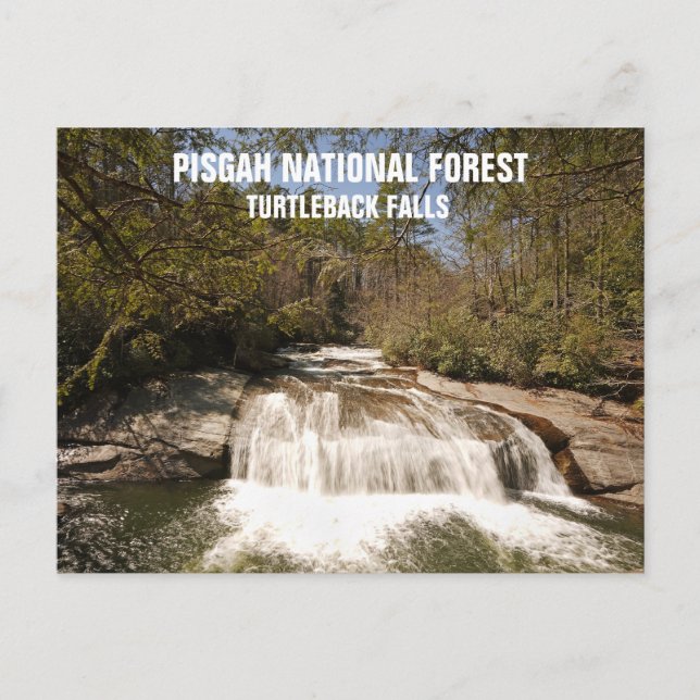 Cartão Postal Pisgah National Forest North Carolina Waterfall (Frente)