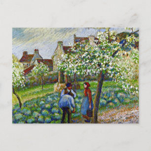 Cartão Postal Pissarro - Árvores de Ameixa Flores