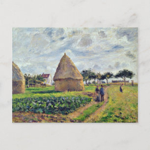 CARTÃO POSTAL PISSARRO - PALHEIROS E PATCH DE CABO,