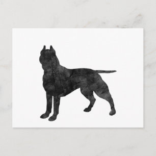 Cartão Postal Pit Bull Dog Grunge Silhoule