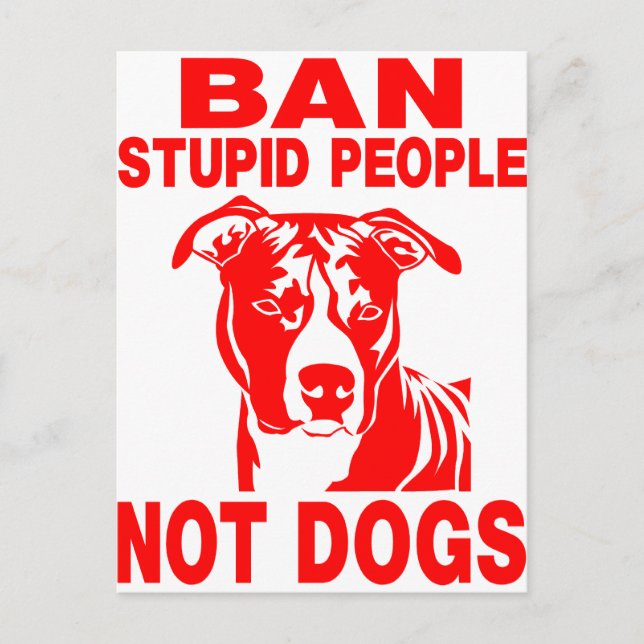 CARTÃO POSTAL PITBULL (Frente)