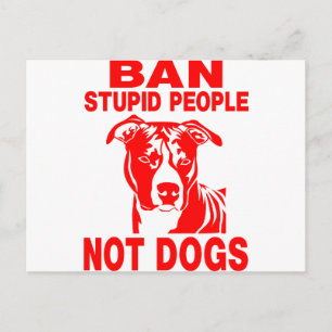 CARTÃO POSTAL PITBULL