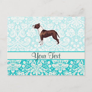 Cartão Postal Pitbull; Cuta