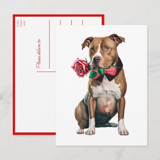Cartão Postal Pitbult Pittie Puppy Dog Menina Você Adora Pit Bul (Frente/Verso)