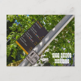 Cartão Postal Pitt Street