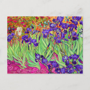 Cartão Postal PixDezines van gogh íris/st. remy
