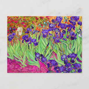 Cartão Postal PixDezines van gogh íris/st. remy