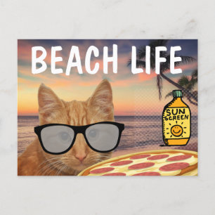 CARTÃO POSTAL PIZZZA GINGER CAT BEACH SUNGLASSES