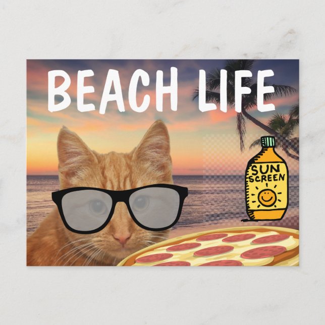 CARTÃO POSTAL PIZZZA GINGER CAT BEACH SUNGLASSES (Frente)