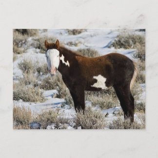 Cartão Postal PJ A Tinta