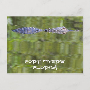 Cartão Postal Placa Alligadora Fort Myers