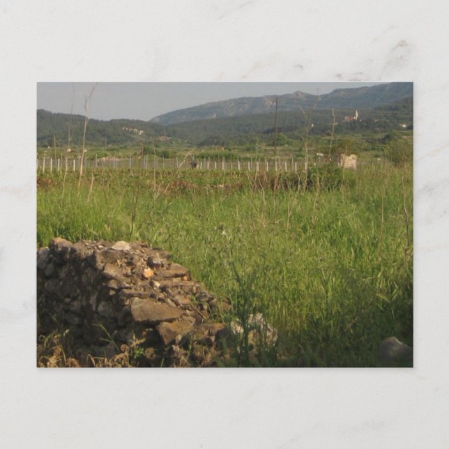 Cartão Postal Placa de Formando Stari (Frente)