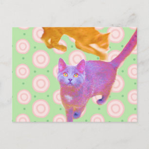 Cartão Postal Placa de Gatinhos Retro