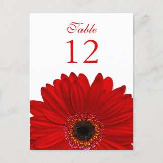 Cartão Postal Placa de Número de Tabela Daisy de Gerbera Vermelh