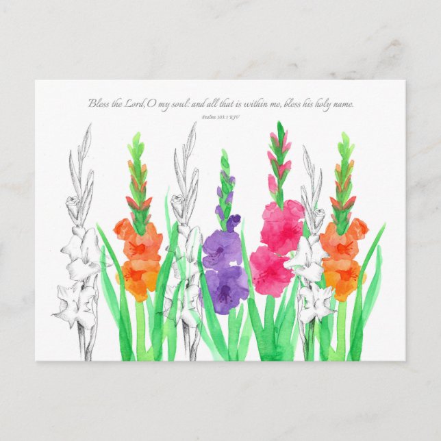 Cartão Postal Placa de Oração Gladiola Salms 103 (Frente)