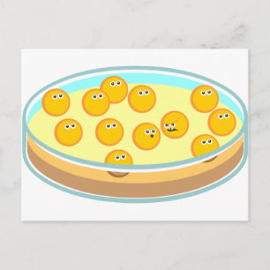 Cartão Postal Placa de Petri MRSA