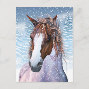 Cartão Postal Placa De posto Com Cavalo De Inverno Na Neve