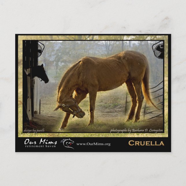 Cartão Postal Placa de Posto Cruella (Frente)