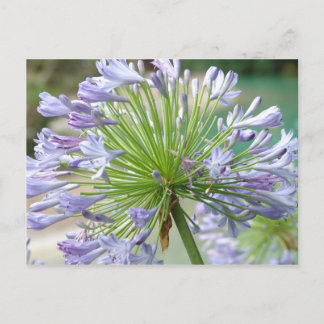 Cartão Postal Placa de Posto da ventoinha