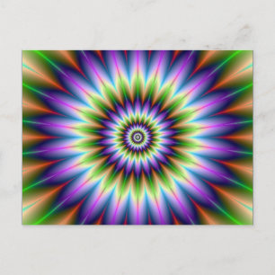 Cartão Postal Placa de Posto Daisy Petals