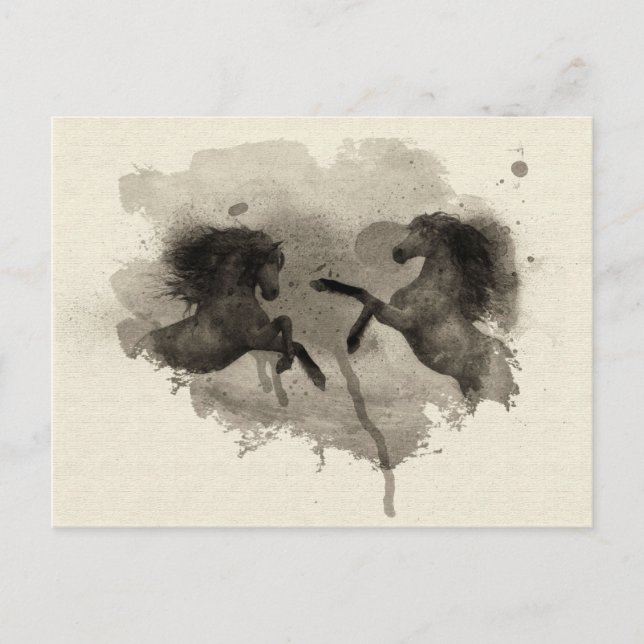 Cartão Postal Placa de Posto de Criação de Cavalos de Água (Frente)