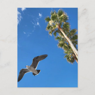 Cartão Postal Placa de Posto de praia