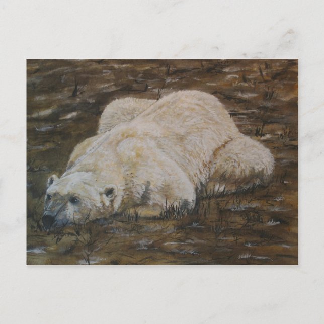 Cartão Postal Placa de Posto de Urso Polar (Frente)