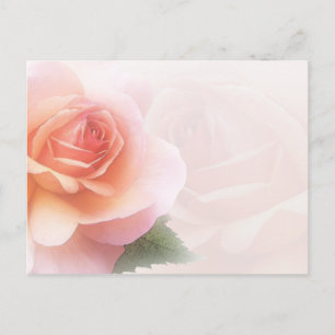 Cartão Postal Placa de Posto Delicar Rosa All Occasion