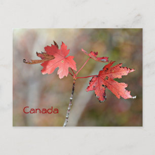 Cartão Postal Placa de Posto do Canadá - Folhas de Mapeamento