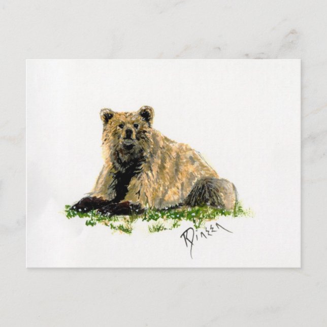 Cartão Postal Placa de Posto do Urso Grizzly (Frente)
