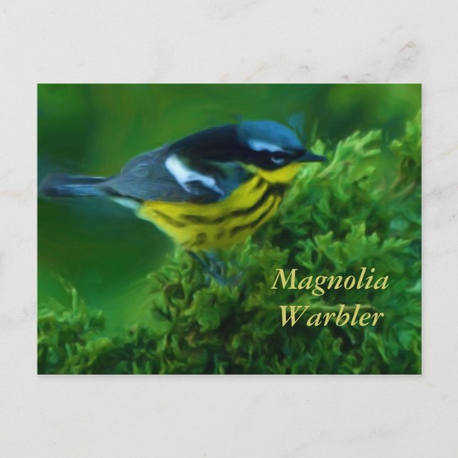 Cartão Postal Placa de Posto Magnolia Warbler (Frente)