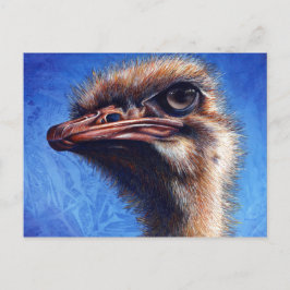Cartão Postal Placa de Posto Ostrich